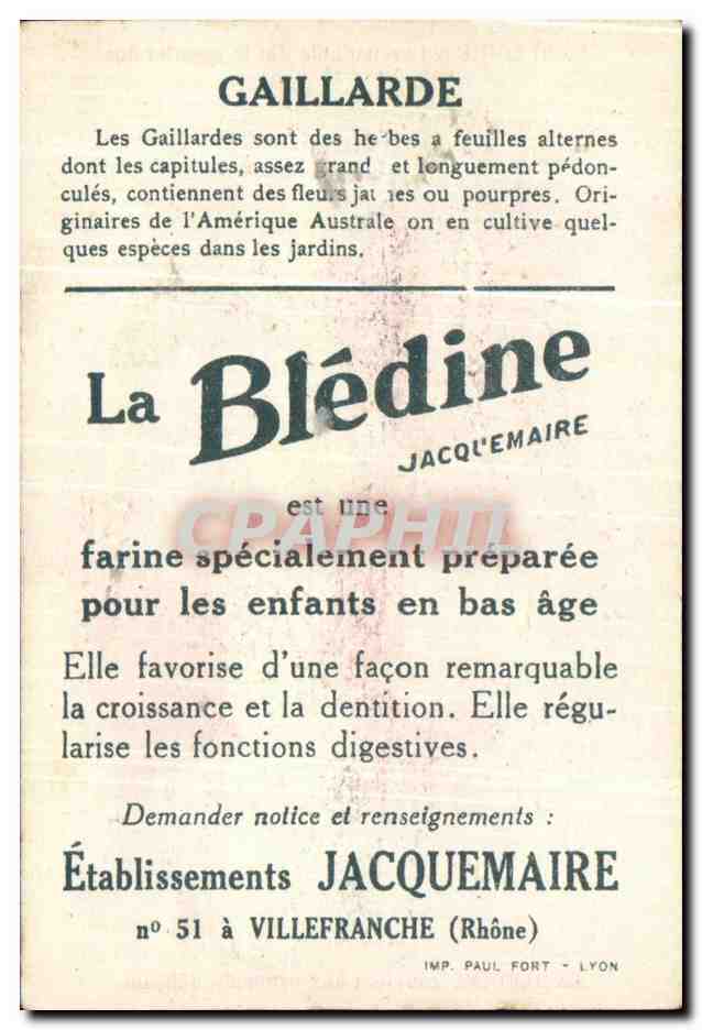 Image bledine Gaillardes  — Back