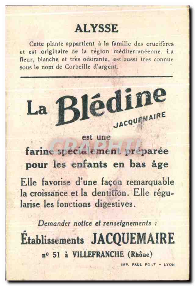 Image bledine Alysse  — Verso