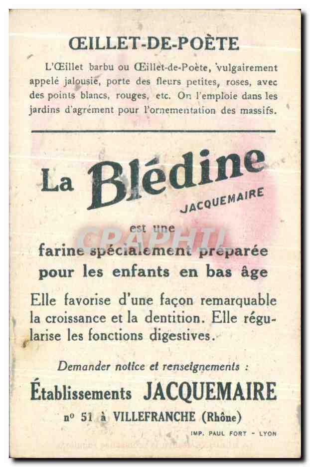 Image bledine Oeillets De Poete  — Verso
