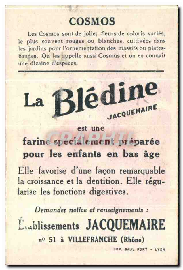 Image La Bledine Cosmos  — Verso