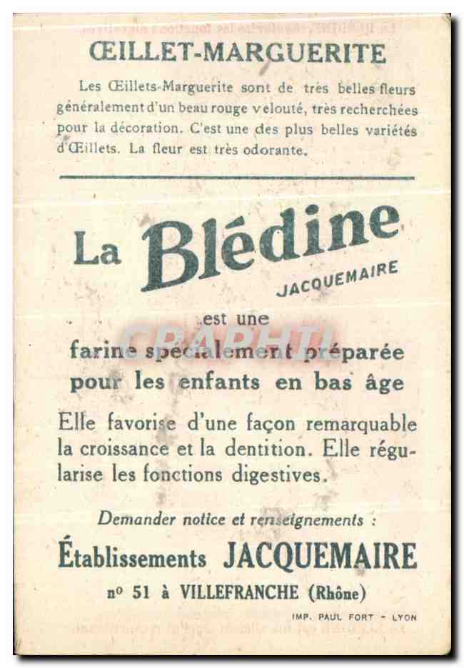 Image La Bledine Oeillet Marguerite — Verso