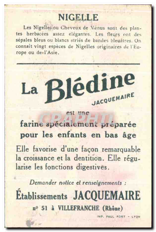 Image La Bledine Nigelles — Back