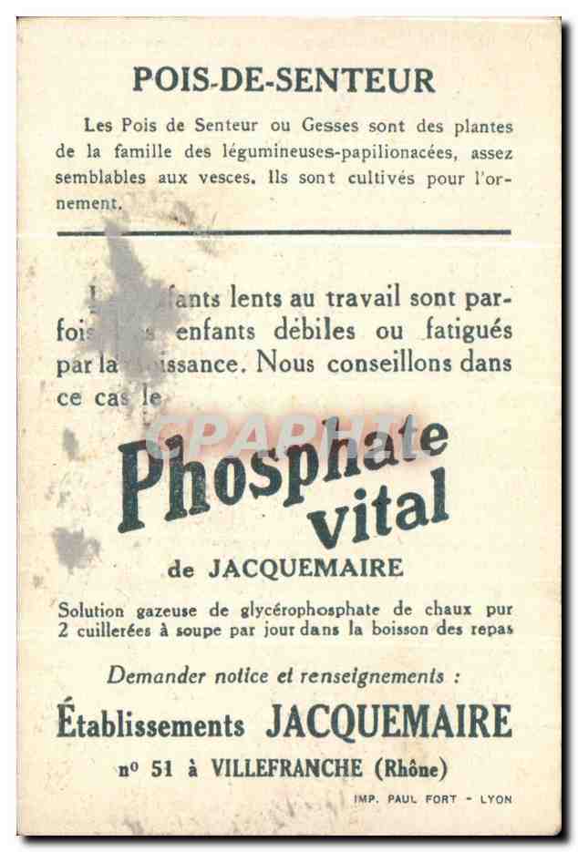 Image La Bledine Poits de senteur — Verso