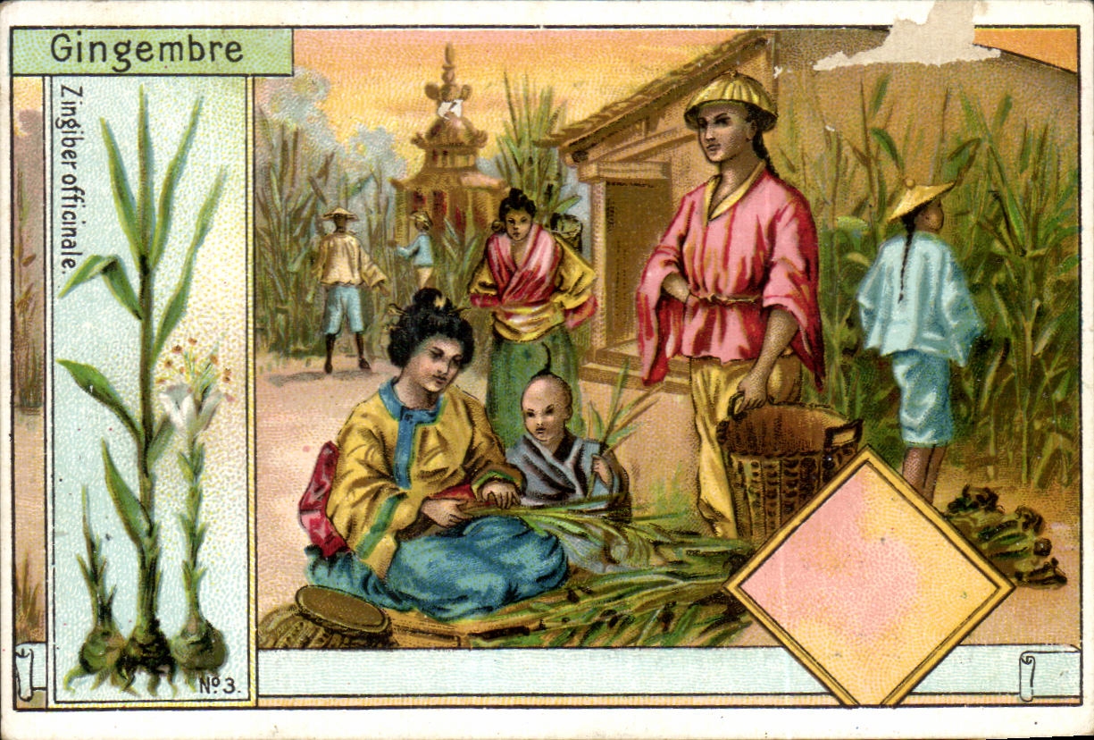 Chromo Gingembre Bazar Monceau Berton Rue de Constantinople Paris Rue des Batignolles Paris 