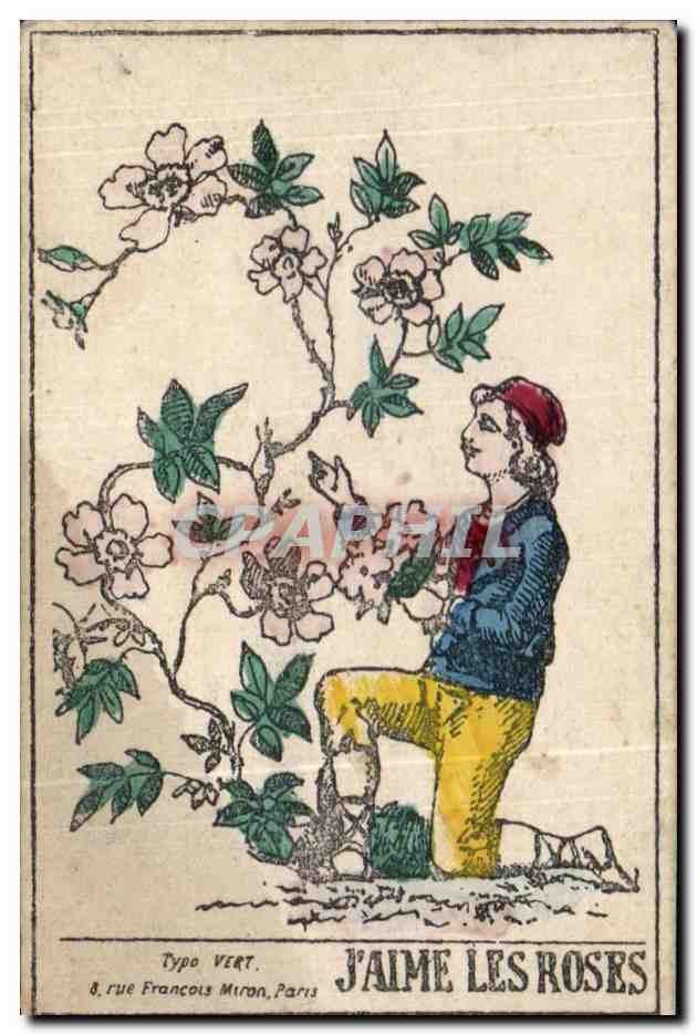 Image J'Aime Les Roses typo vert
