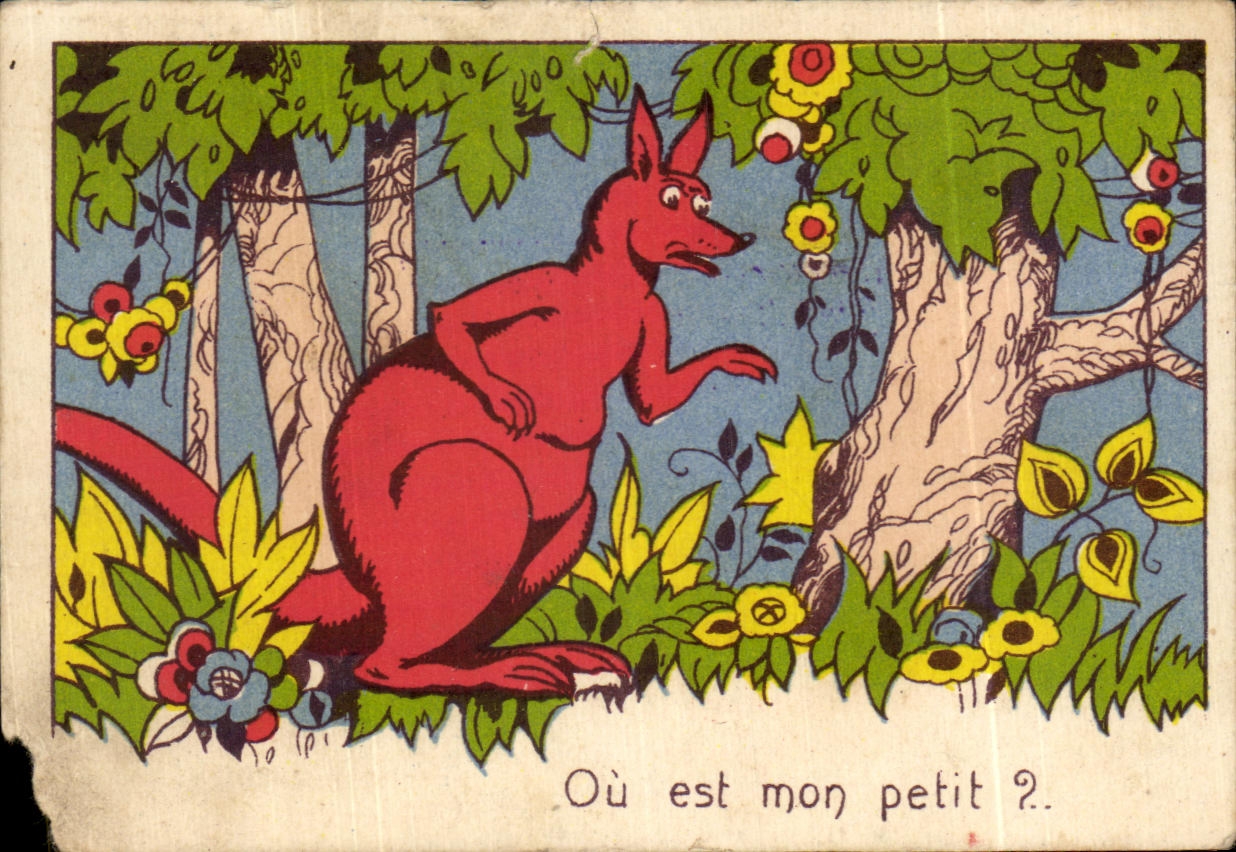 Image Ou est mon petit Kangourou