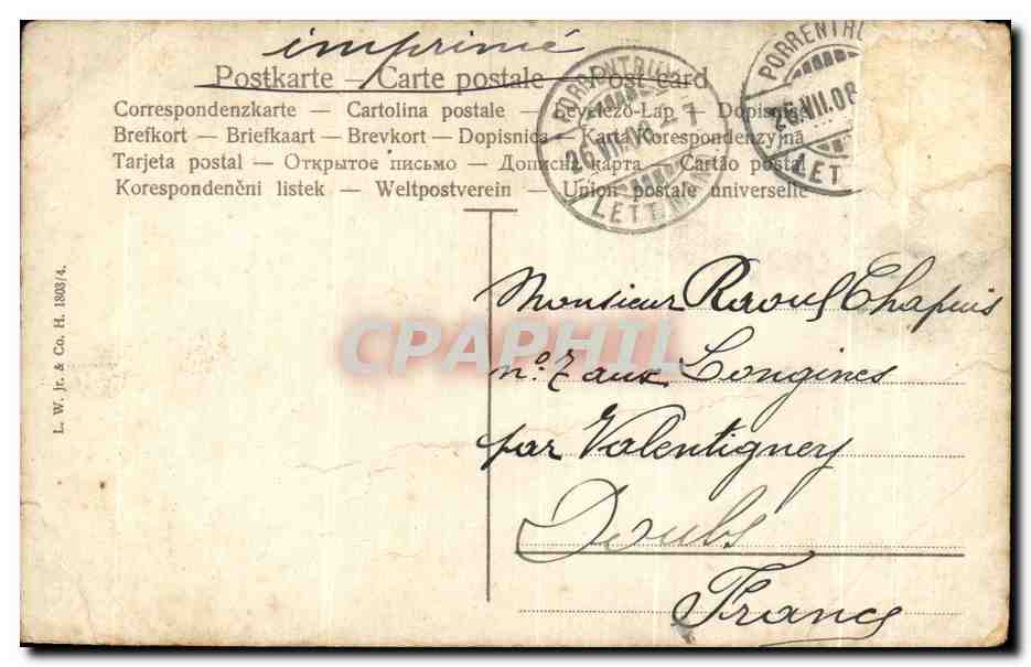 CPA Enfant Chien Berger — Reverso