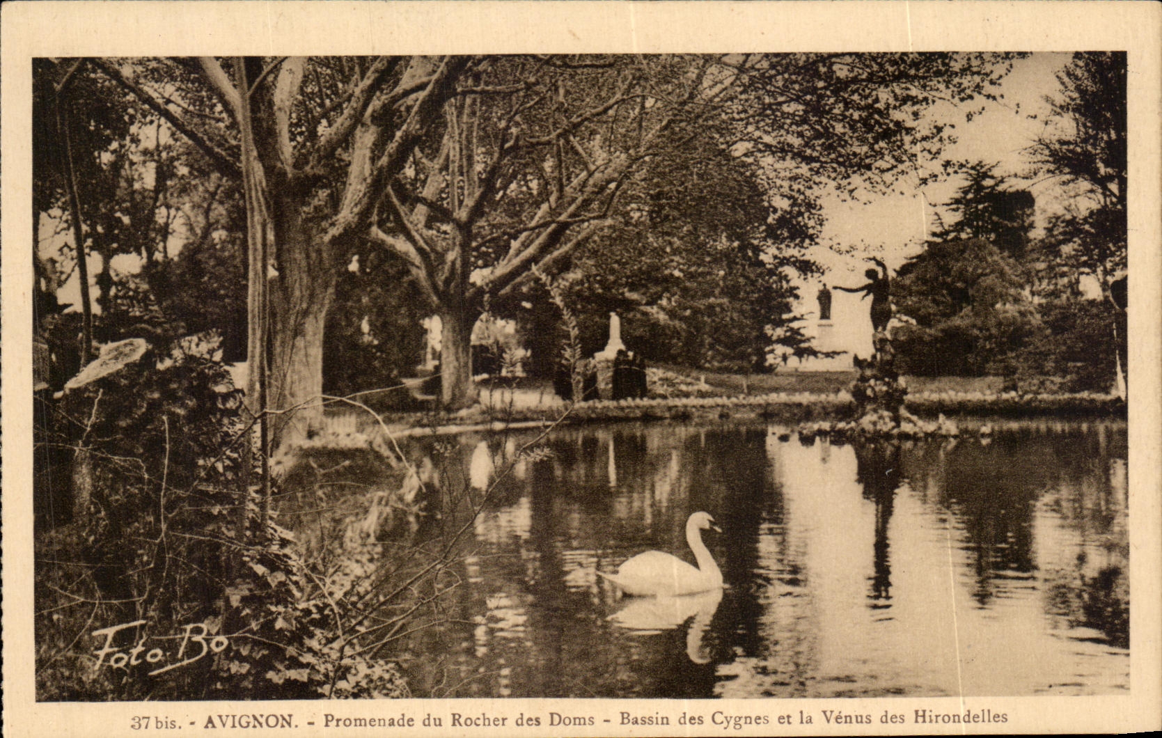 Avignon - Promenade du Rocher des Doms - Bassin des Cygnes et la Vénus des Hirondelles — Foto.Bo, n° 37 bis