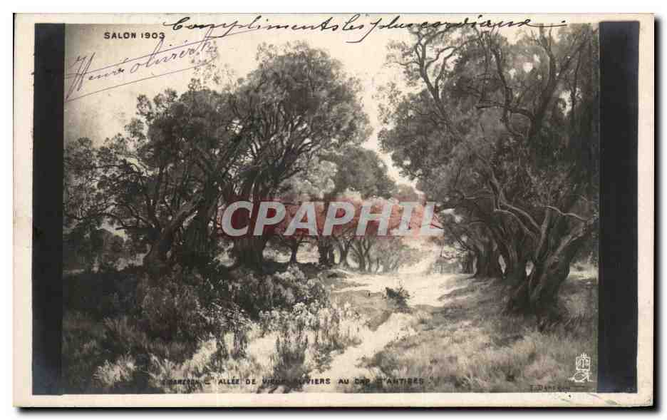 CPA Fantaisie Salon 1903 Cameron Allee de vieux oliviers au cap d'antibes 