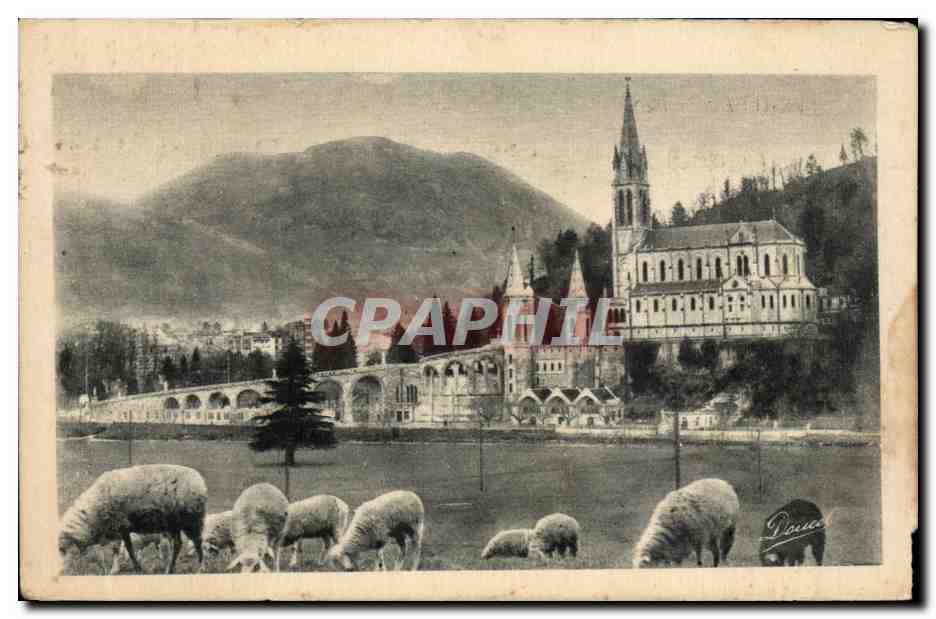 CPA Lourdes La Basilique et le Pic du Jer Moutons