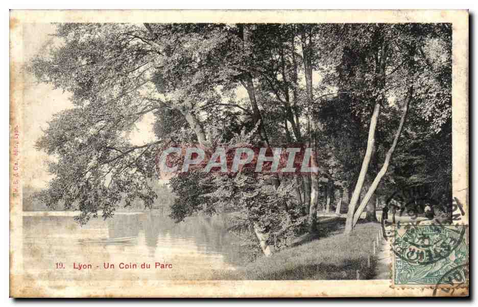 CPA Lyon Un Coin du Parc