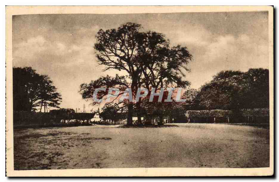 Bosque de Fontainebleau — Carrefour de la Table du Roi — Museos Nacionales