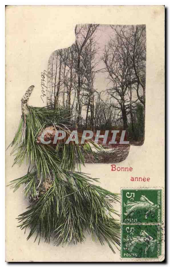 CPA Fantaisie Pin Sapin Bonne annee