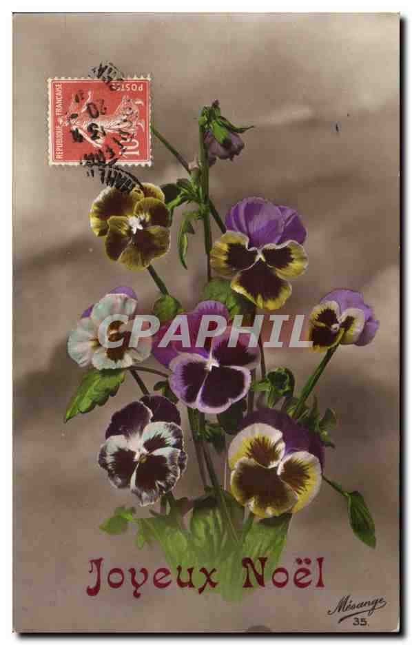 CPA Fantaisie Fleurs Joyeux Noel 