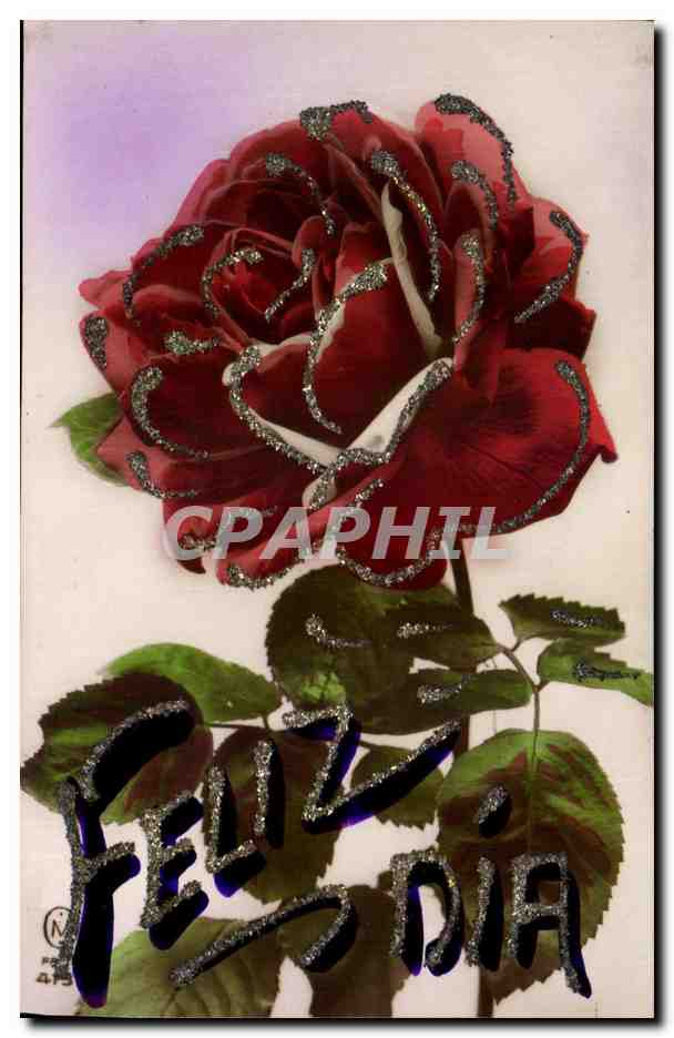 CPA Fantaisie Fleurs Felix Dia