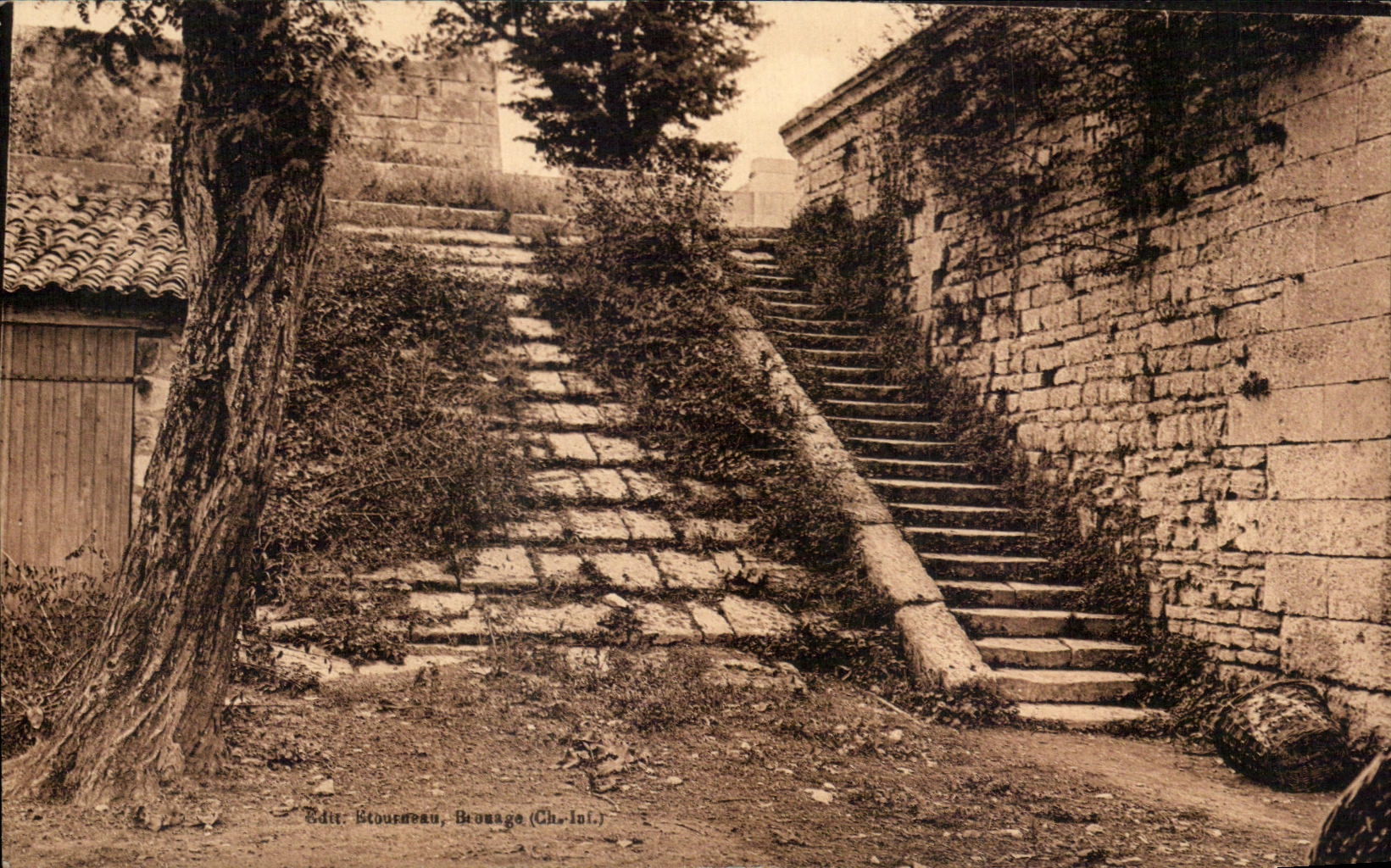 Escalier de l'ancienne ville forte de Brouage — Édit. Stourneau, Brouage (Ch.-Iul.)