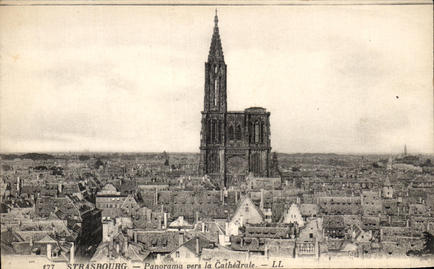 CPA Strasbourg panorama pres la Cathedrale