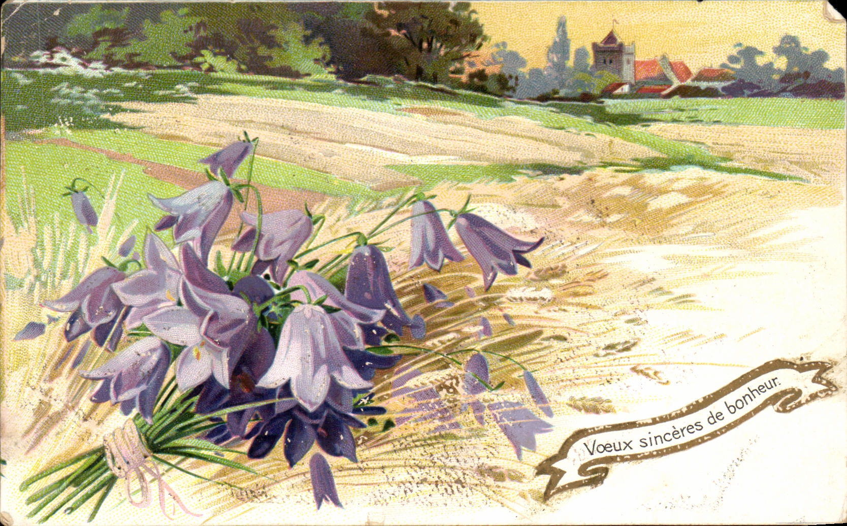CPA Fantaisie Fleurs Voeux Sinceres de Bonheur