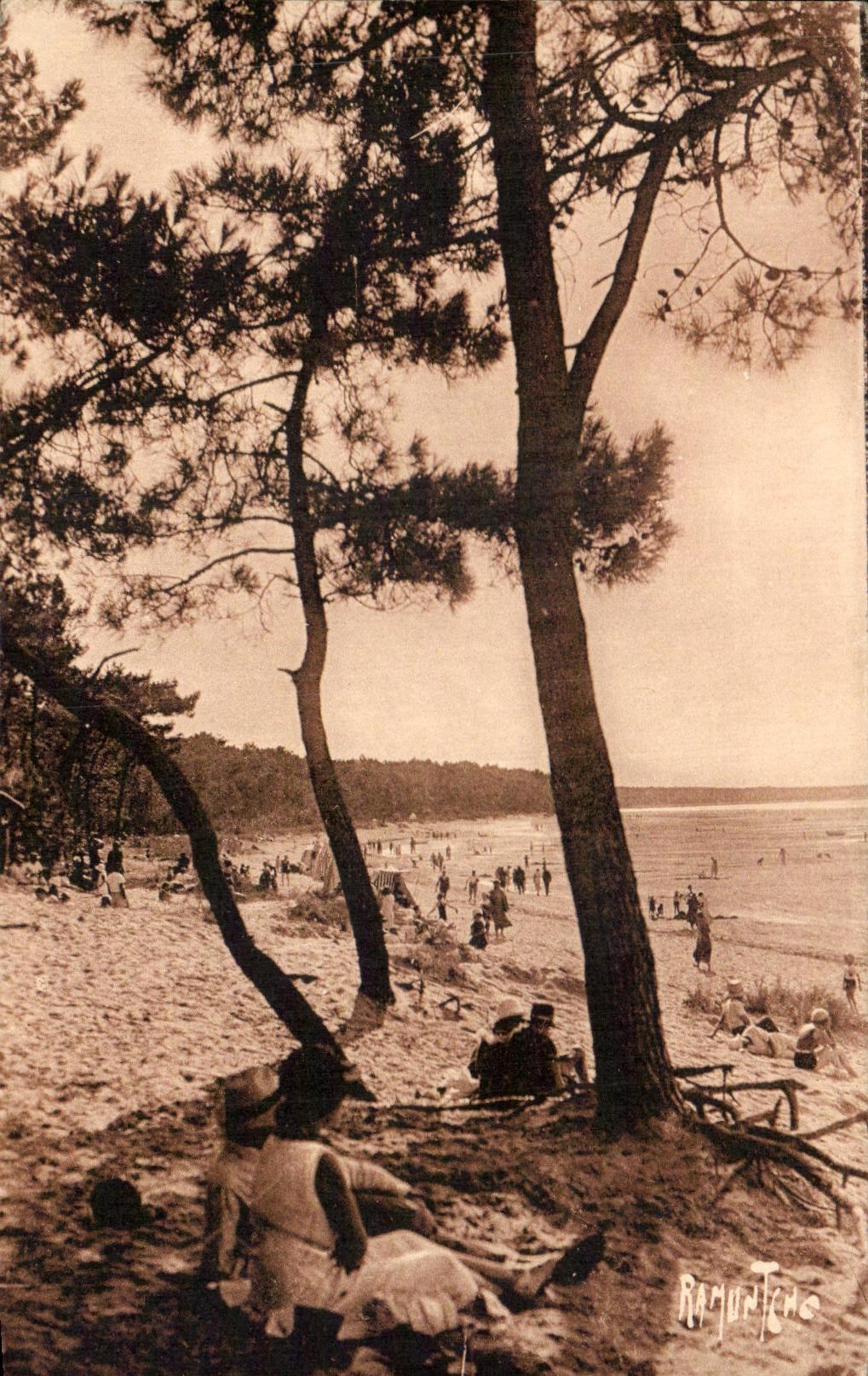 CPA Ronce Les Bains Plage du Galon d'Or