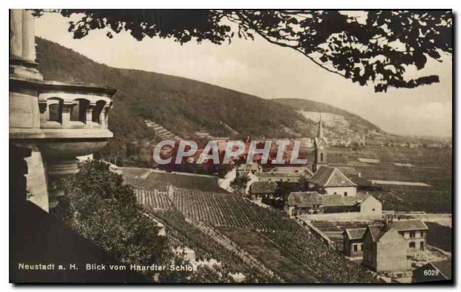 CPA Neustadt Blick vom Haardter Schlob