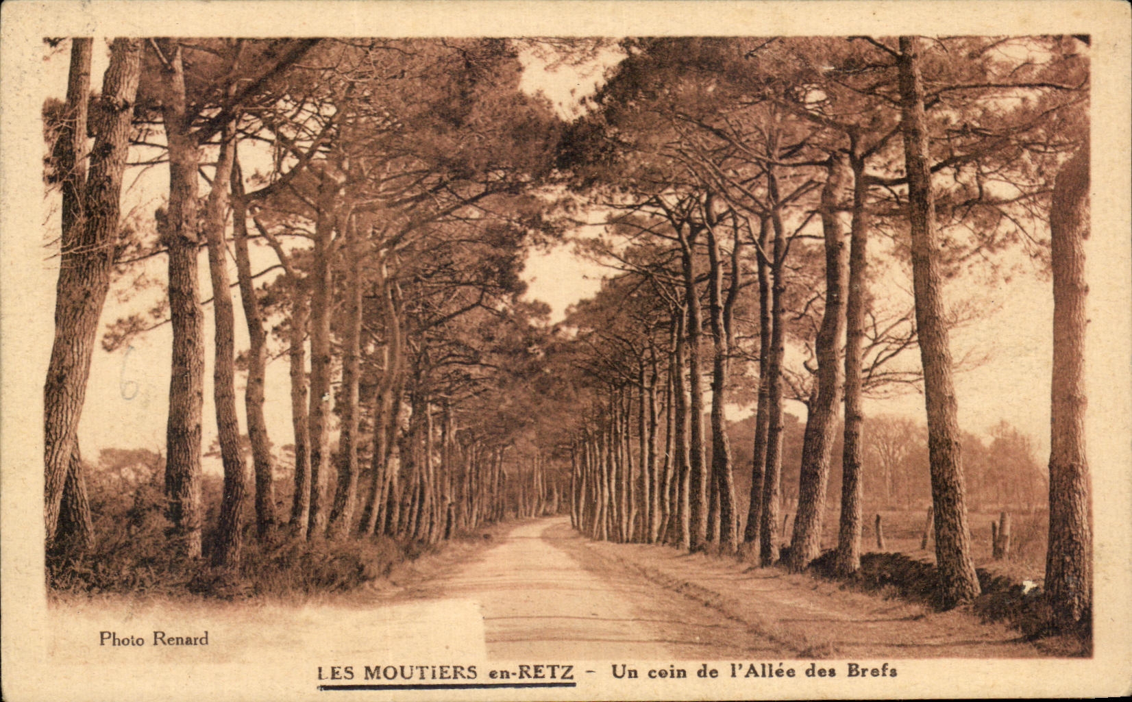 CPA Les Moutiers En Retz Un Coin De l'Allee Des Brefs