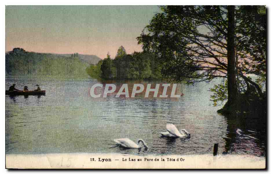 CPA Lyon Le Lac au Parc de la Tete d'Or Cygne 