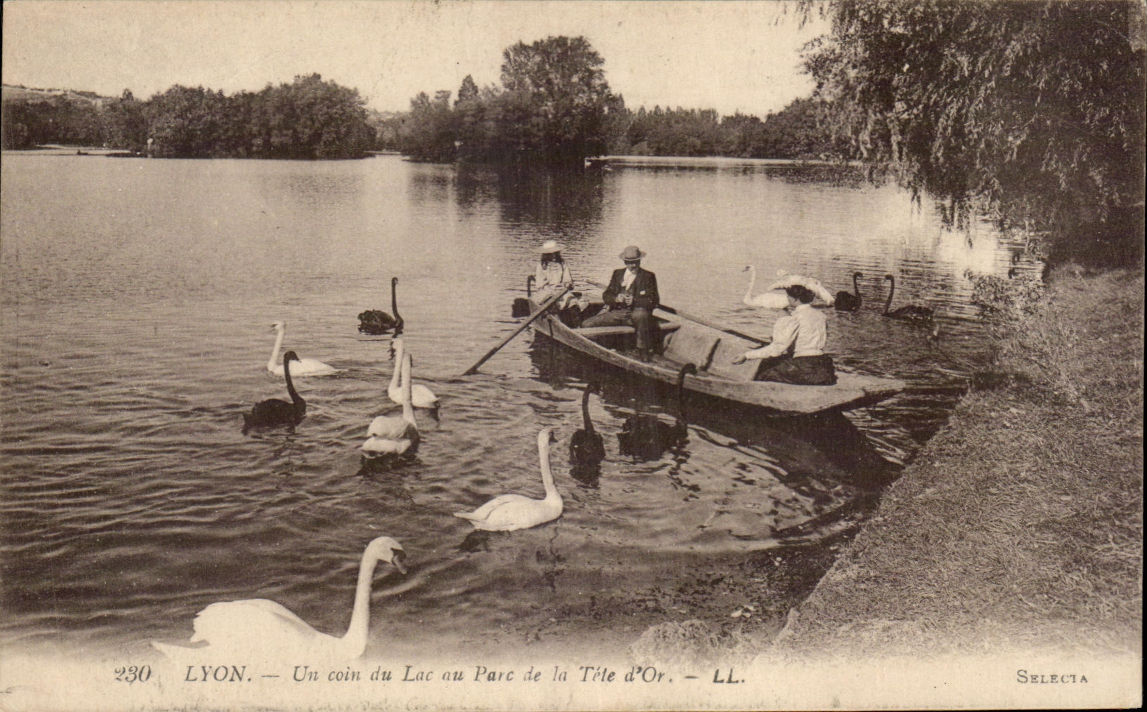 LYON — Un coin du Lac au Parc de la Tête d'Or — Selecta
