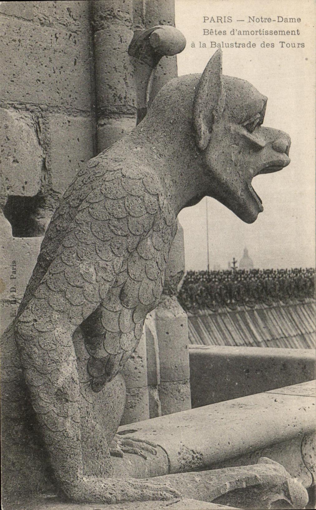 CPA Paris Notre Dame Betes d'amortissement a la Balustrade des Tours
