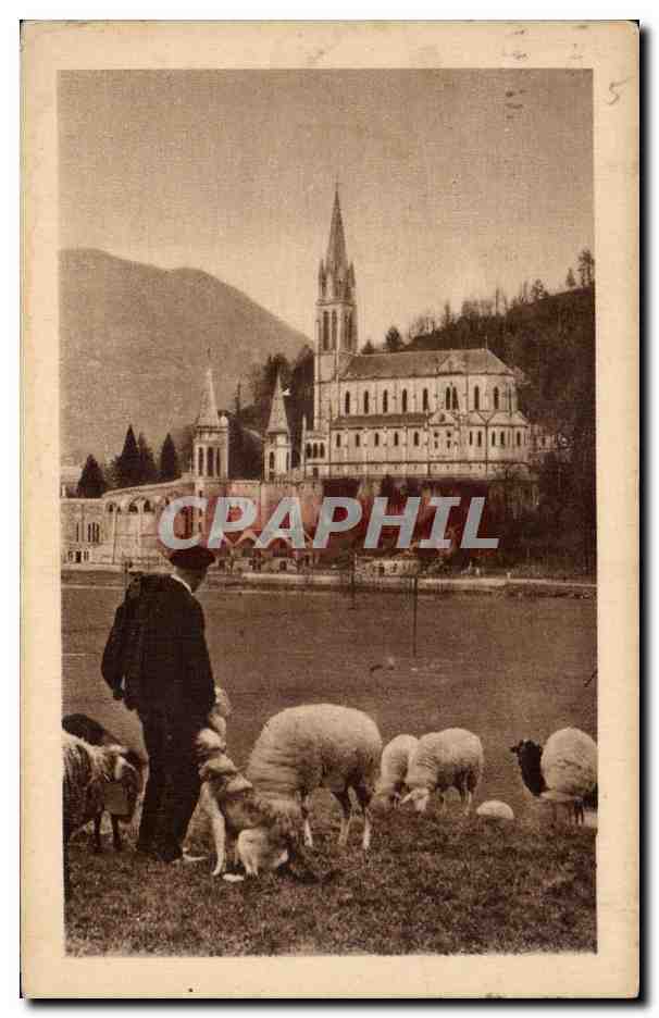 CPA Lourdes La Basilique Berger et moutons 