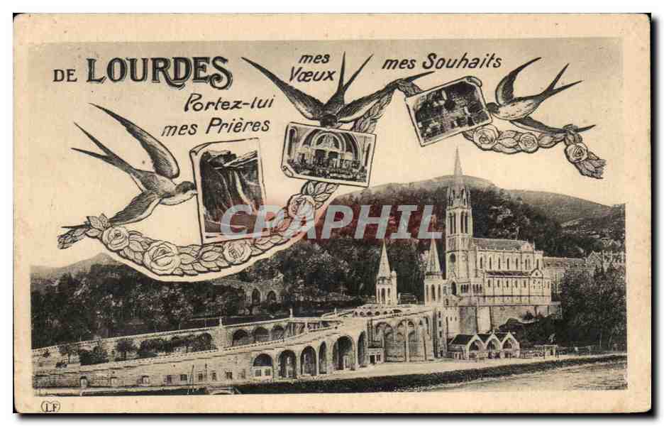CPA De Lourdes Mes voeux mes Souhaits Hirondelles