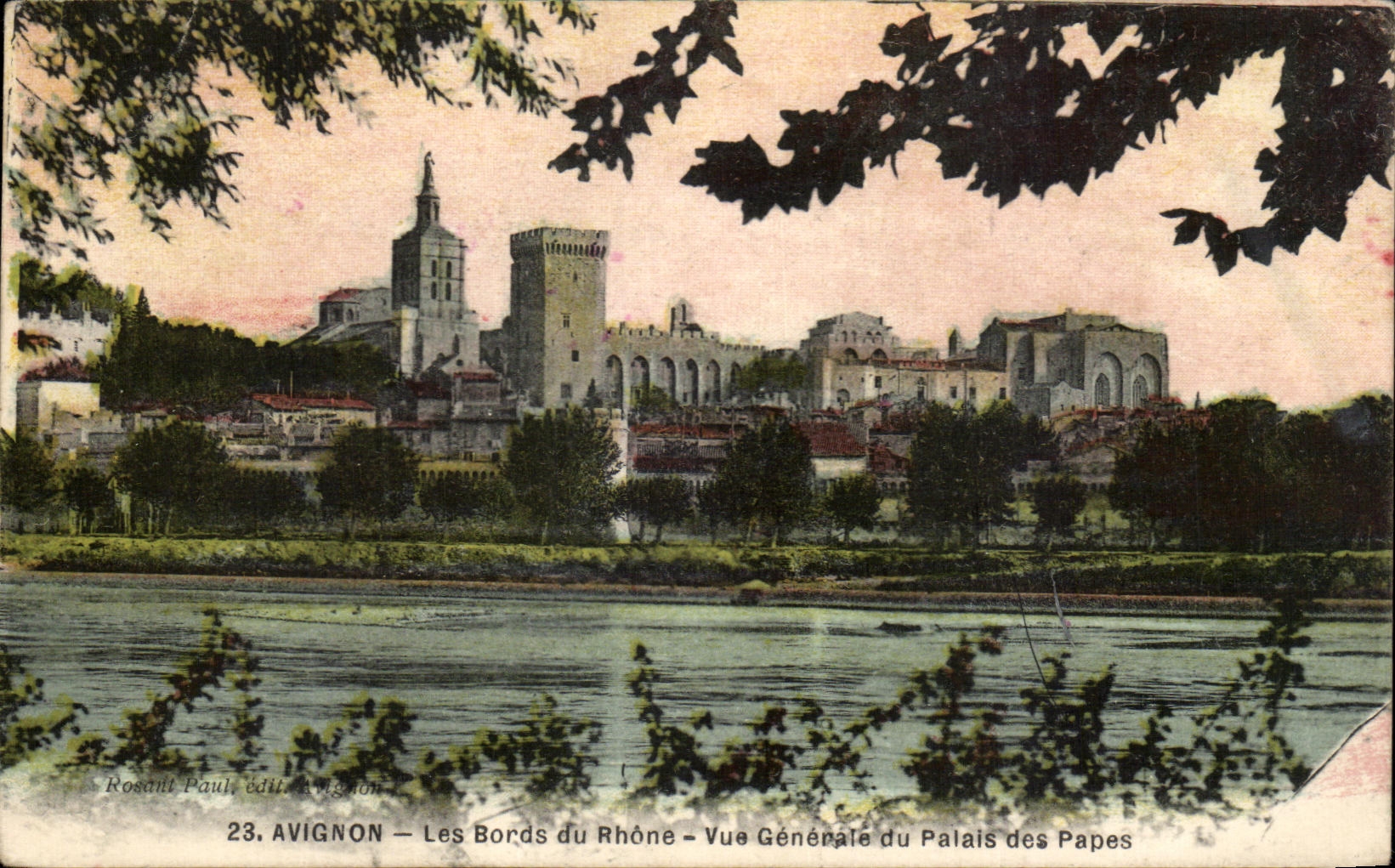 CPA Avignon Les Bords du Rhone Vue Generale du Palais des Papes