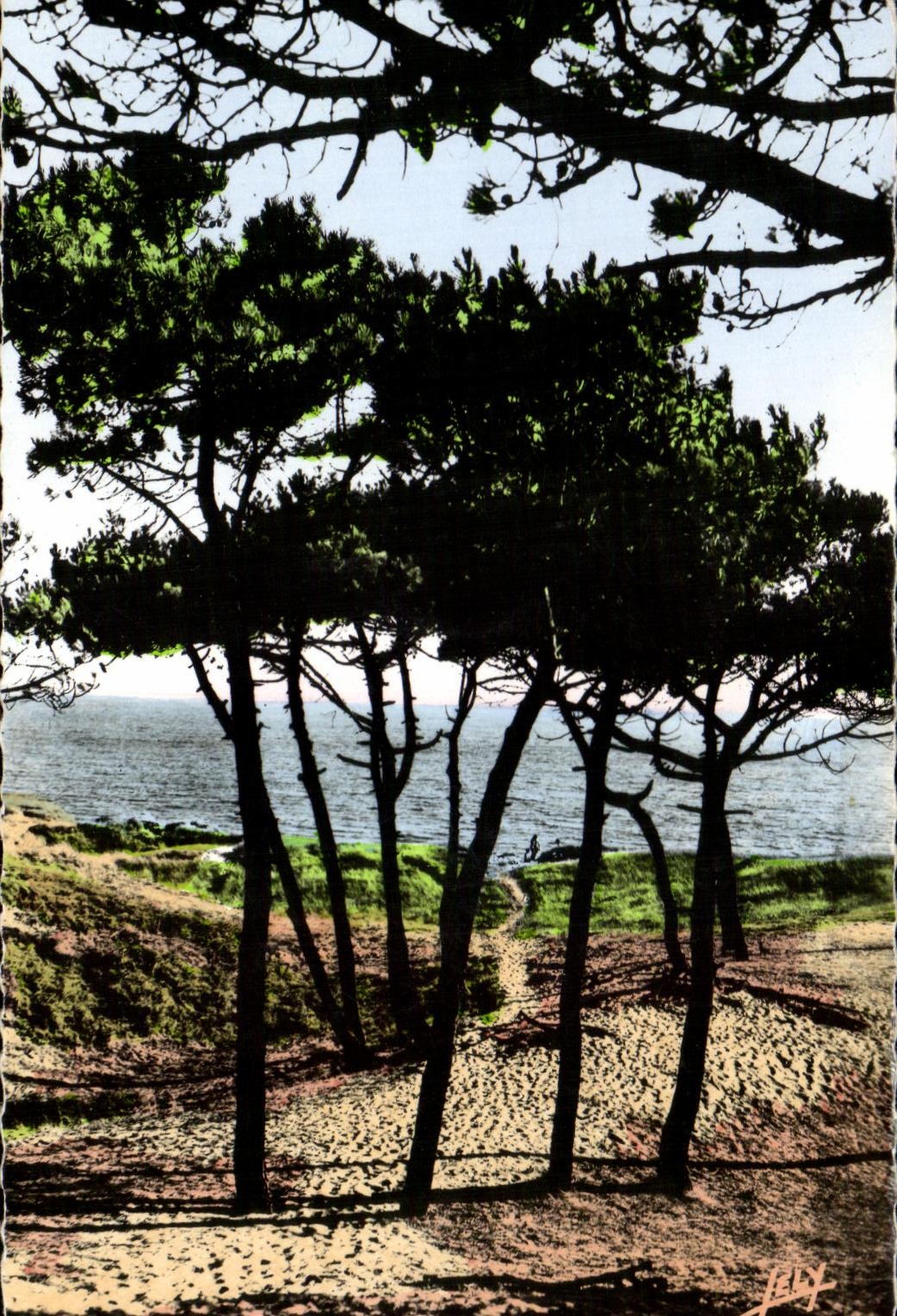 St-Jean-de-Monts (Vendée) — La Mer à travers les Pins — Éditions JEHLY-POUFIN