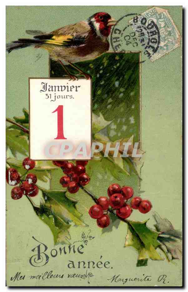 Oiseau sur houx — calendrier janvier — éditeur non visible