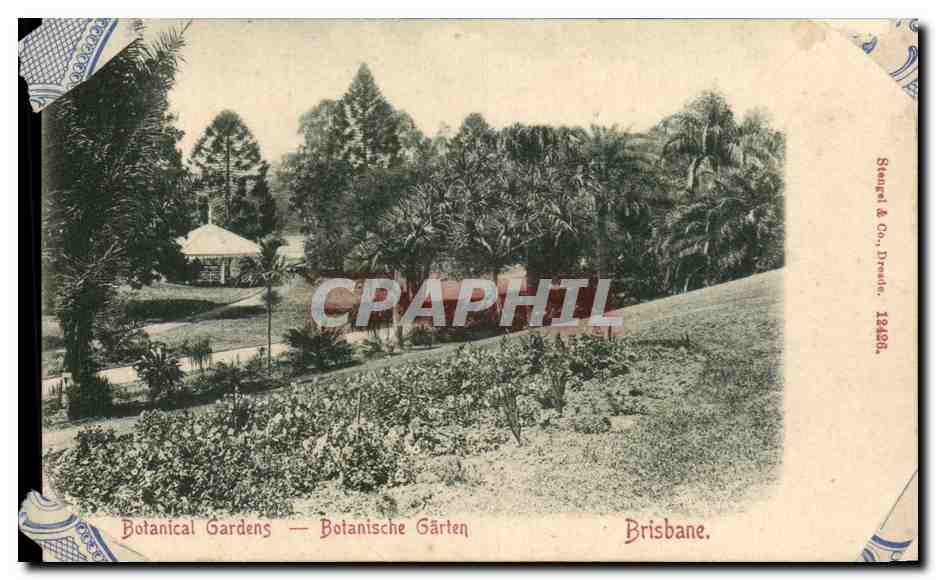 CPA Botanical GArdens Botanische Garten Brisbane Australia Australie