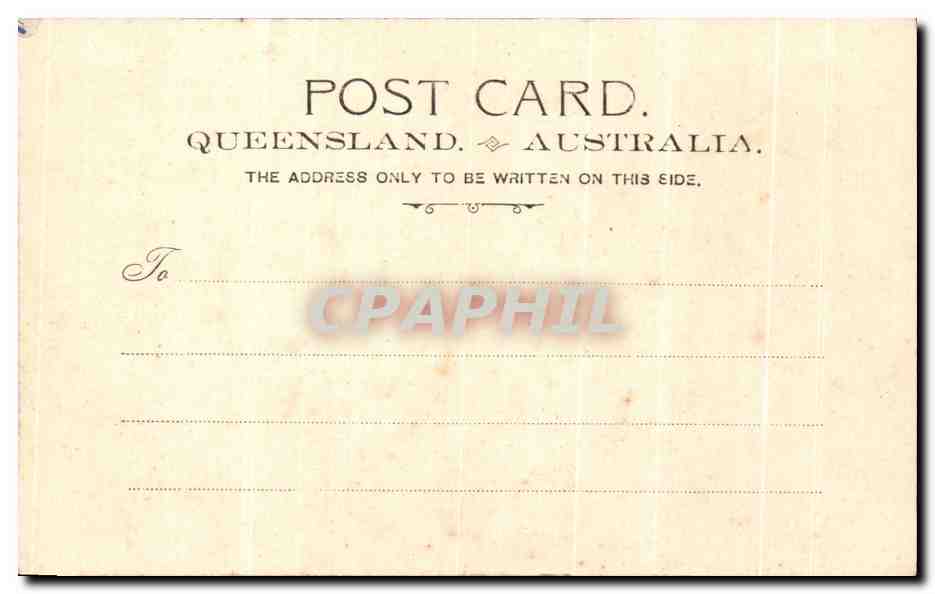 CPA Botanical GArdens Botanische Garten Brisbane Australia Australie — Rückseite