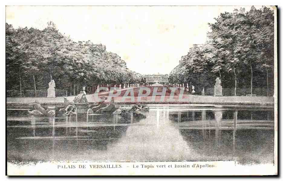 CPA Palais De Versailles Le Tapis vert et Bassin d'Apollon