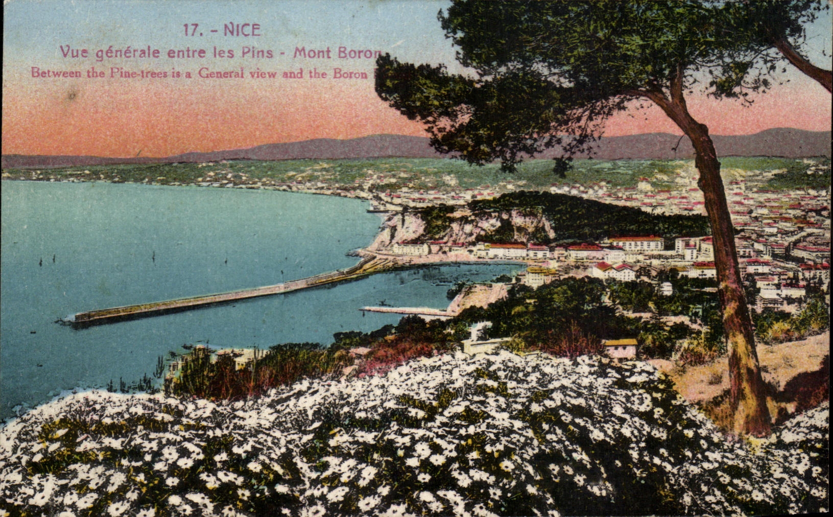 Nice — Vue générale entre les Pins - Mont Boron — Édition G. G. NICE 289