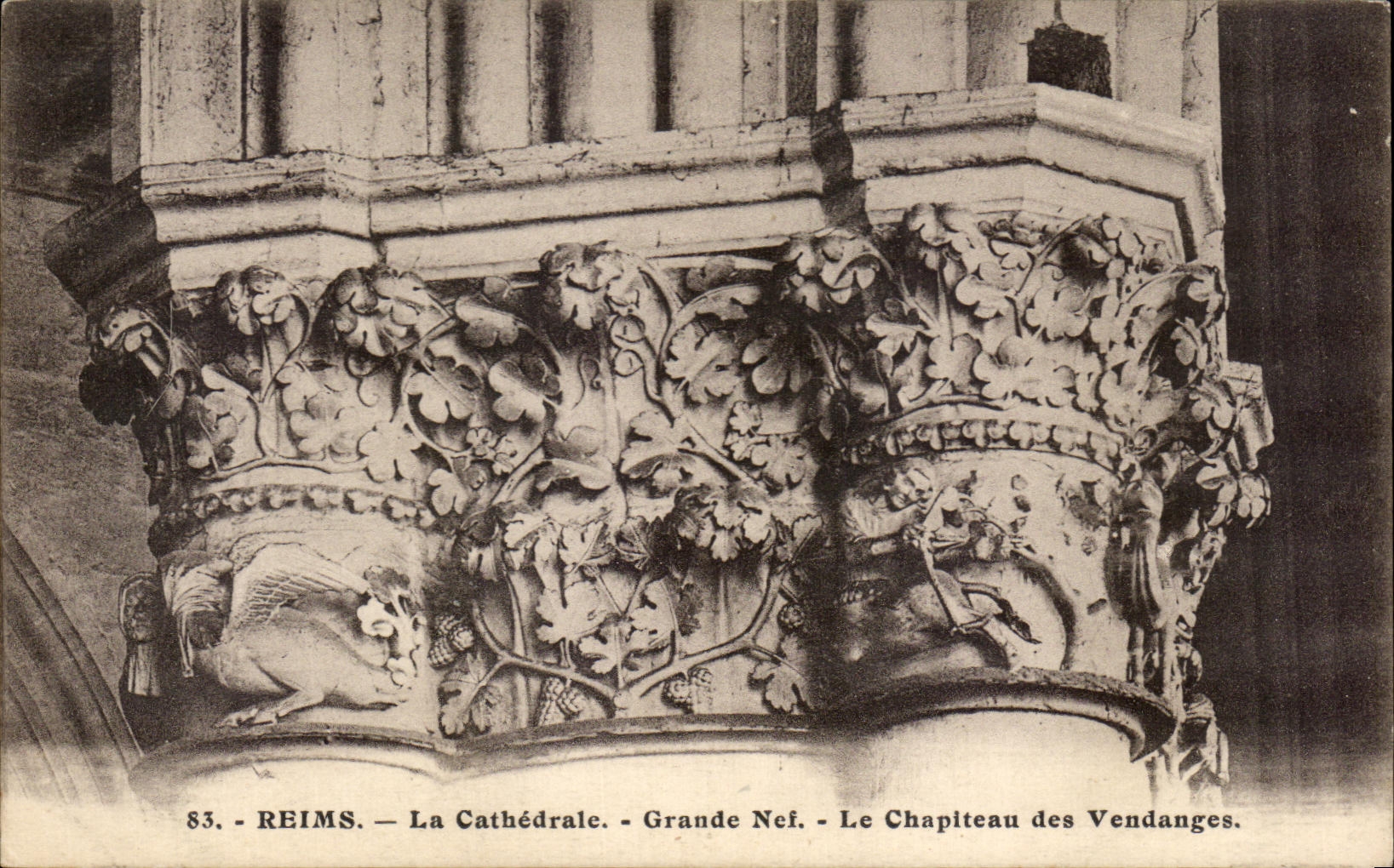 Reims — Die Kathedrale — Die Große Nave — Der Kapitell der Ernte — n°83