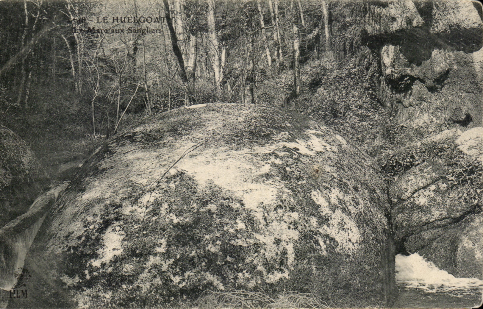 CPA Le Huelgoat La mare aux sangliers 