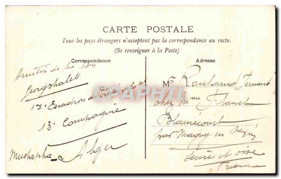 ALGER — Jardin d'Essai (Allée des Bambous) — Éditeur non identifié, n° 84 — Verso