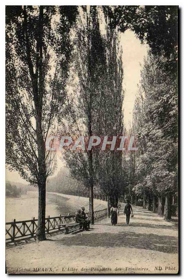CPA Meaux L'Allee des Peupliers des Trinitaires