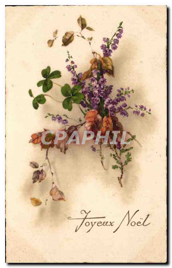 CPA Fantaisie Fleurs Joyeux Noel
