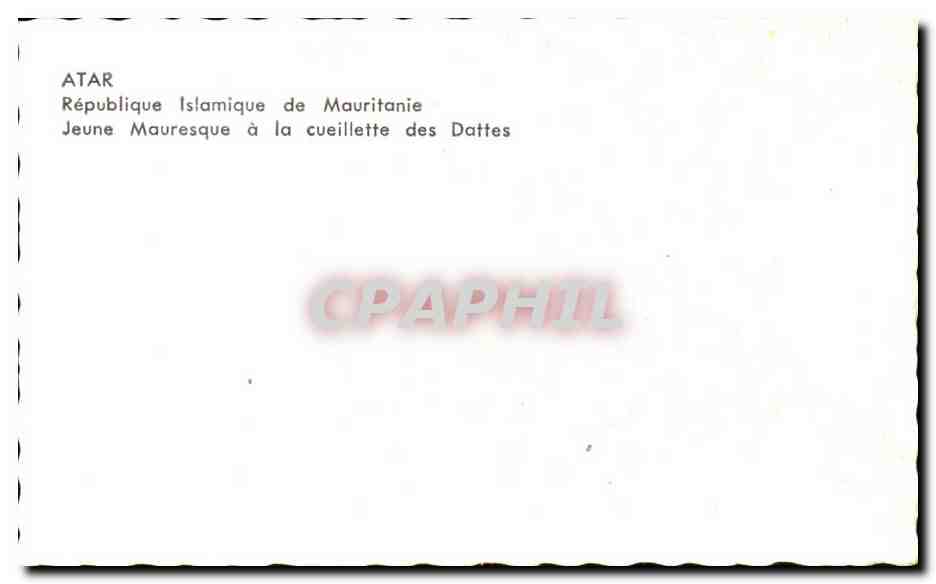 CPA Maillents Voeux de Bonne Annee d Alat — Rückseite