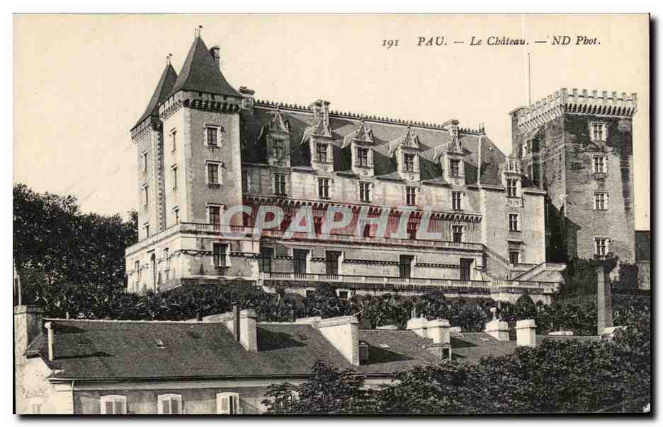CPA Pau Le Chateau ND Phot