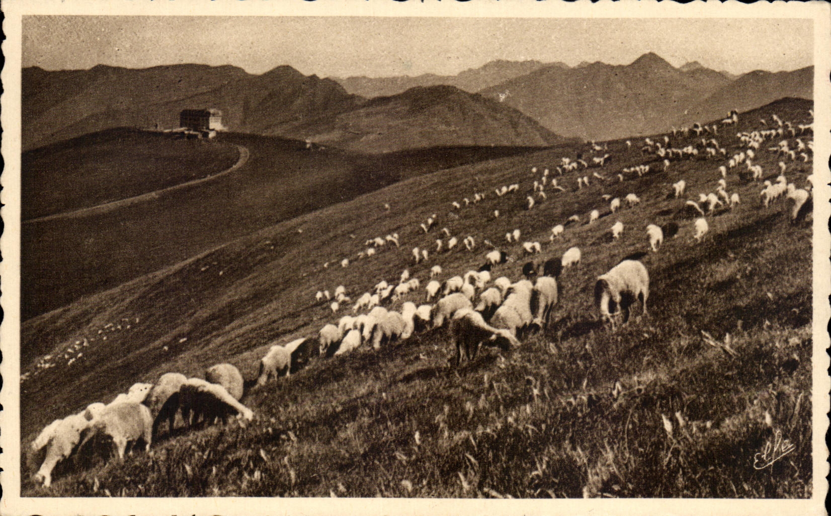 Moutonne au pâturage sur le plateau — Pyrénées-Océan — Éditions Labouche — n° 548