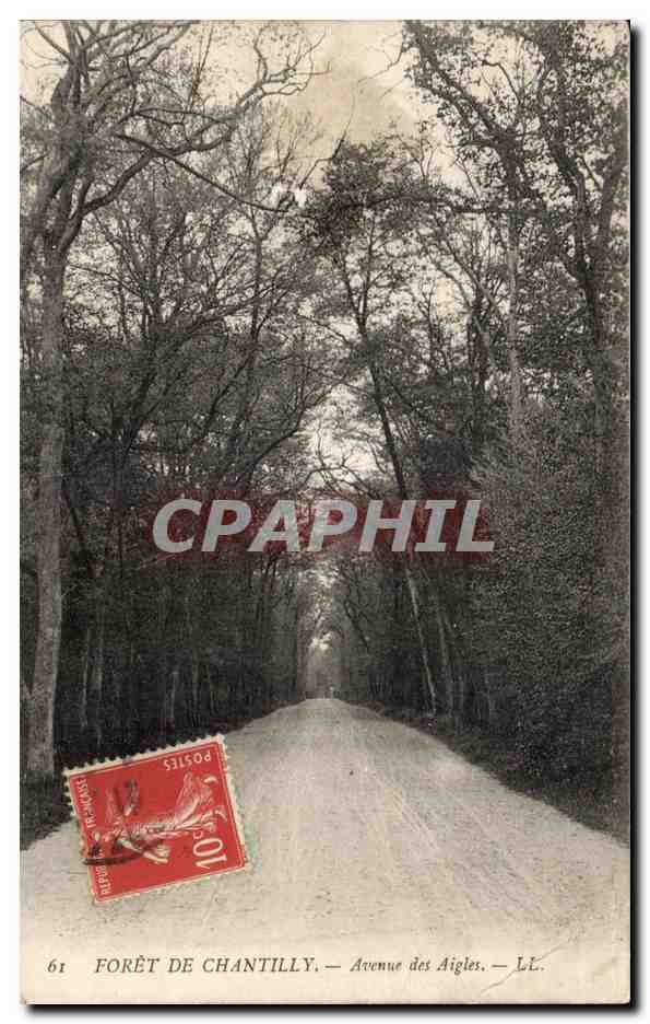 Forêt de Chantilly — Avenue des Aigles — LL. — Éditeur LL.