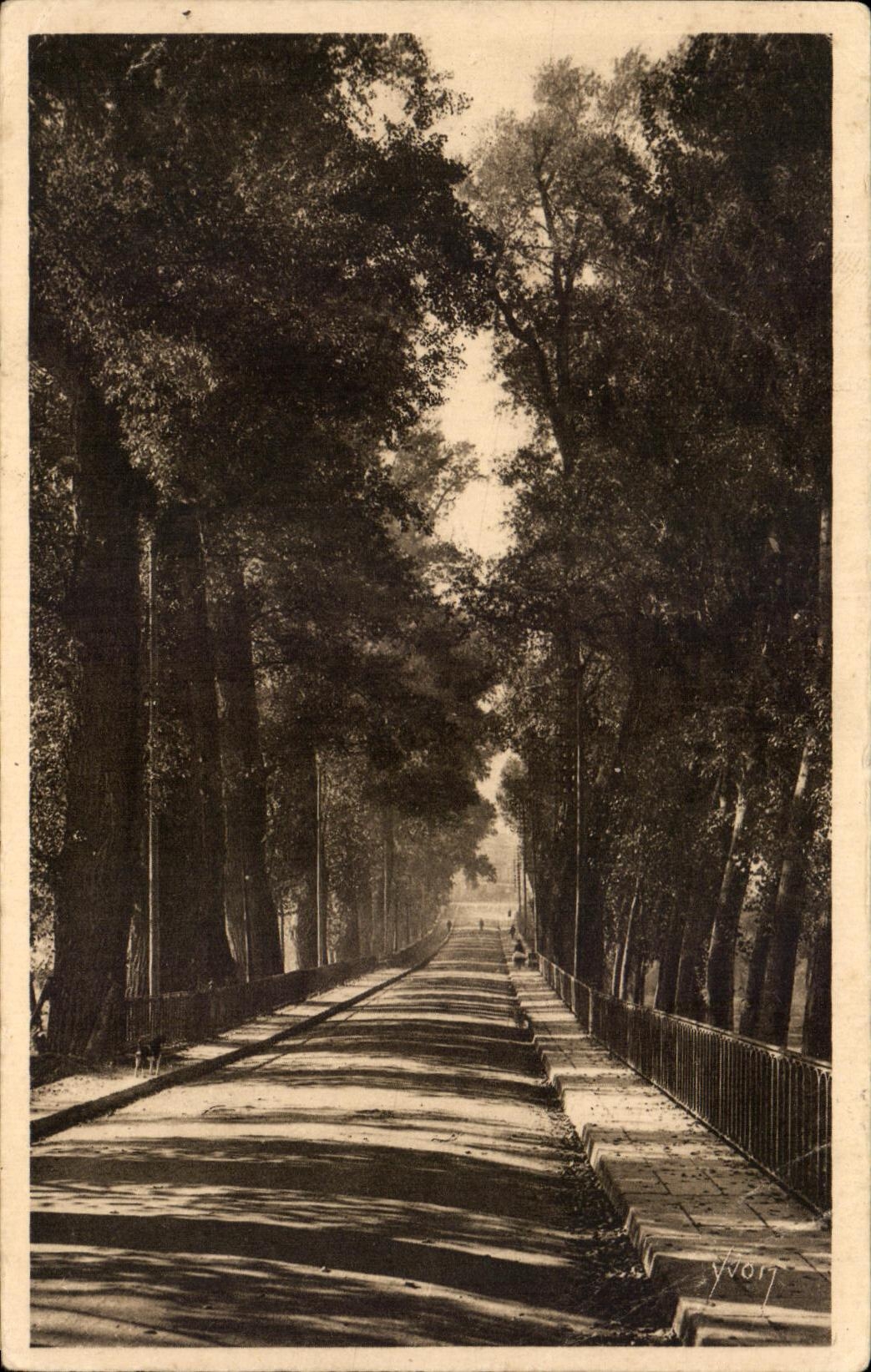 CPA Mende L'Allee Piencourt Plantee par l'eveque