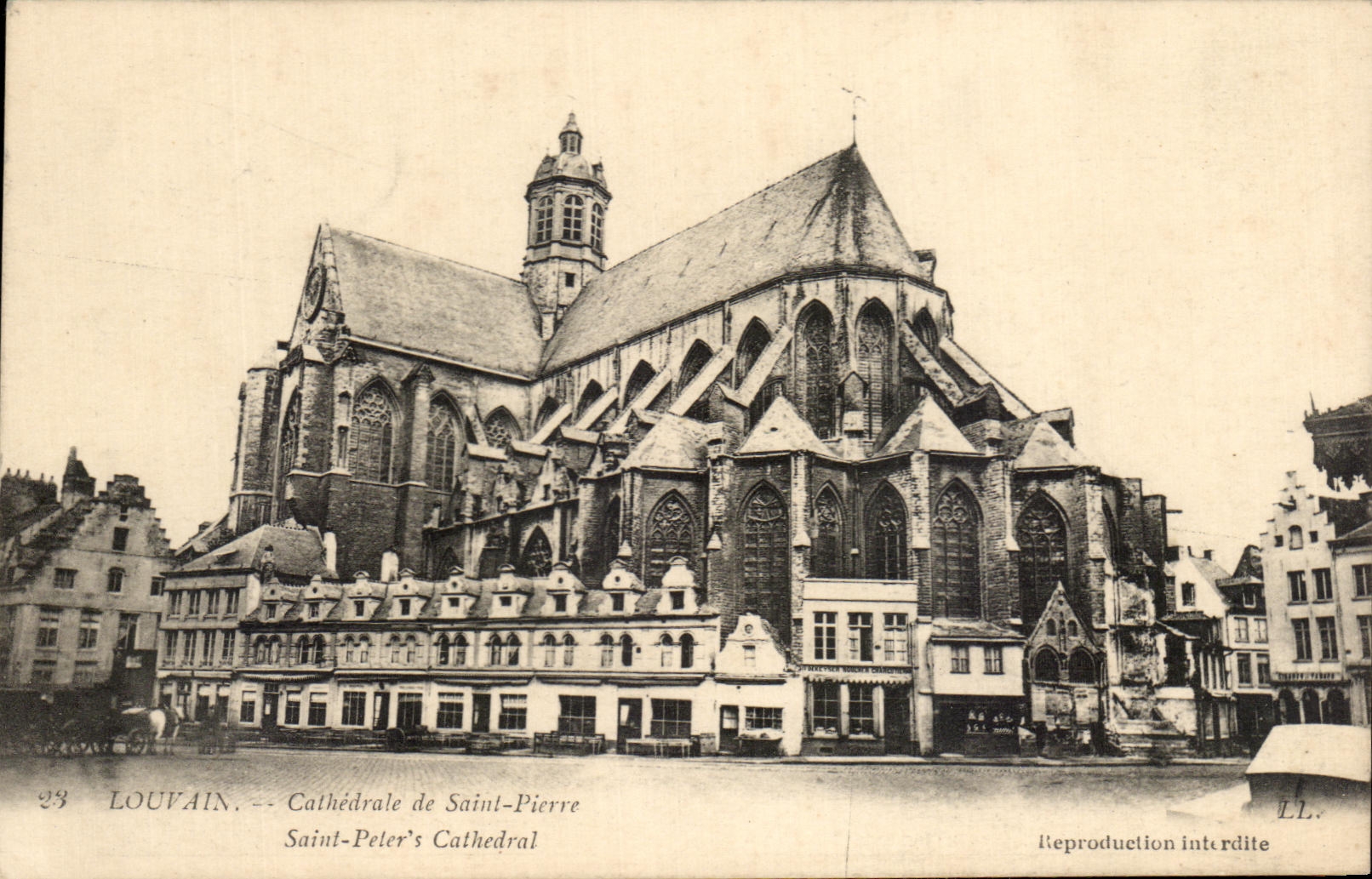 Louvain — Cathédrale de Saint-Pierre — Éditeur LL