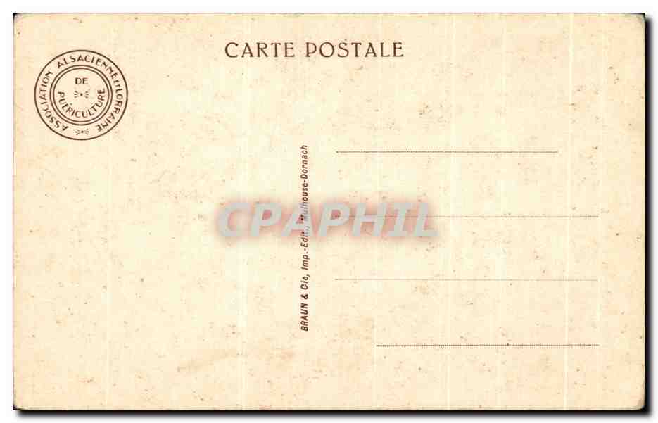 Vintage Postcard Woman and Children — Back