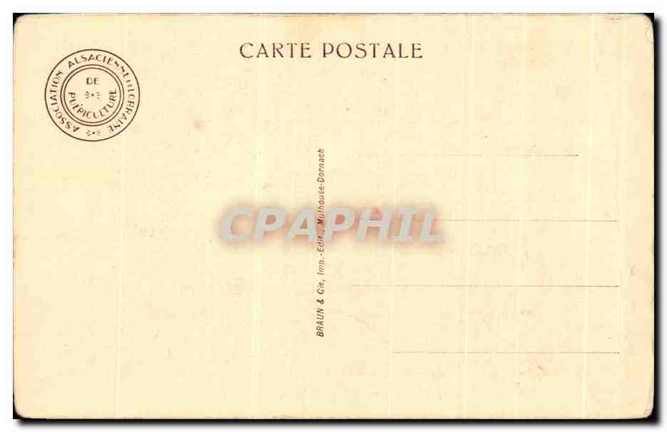 CPA Enfants Chien — Verso